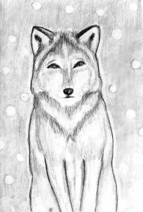Winter Wolf by linzi fay